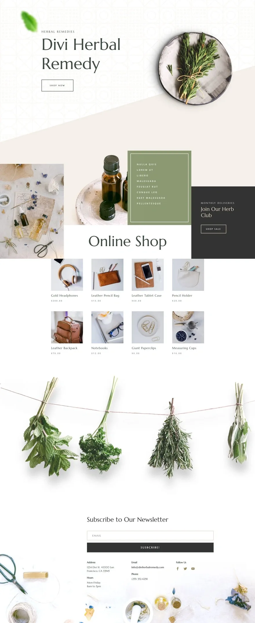 Herbal Remedy 健康诊疗WordPress模板