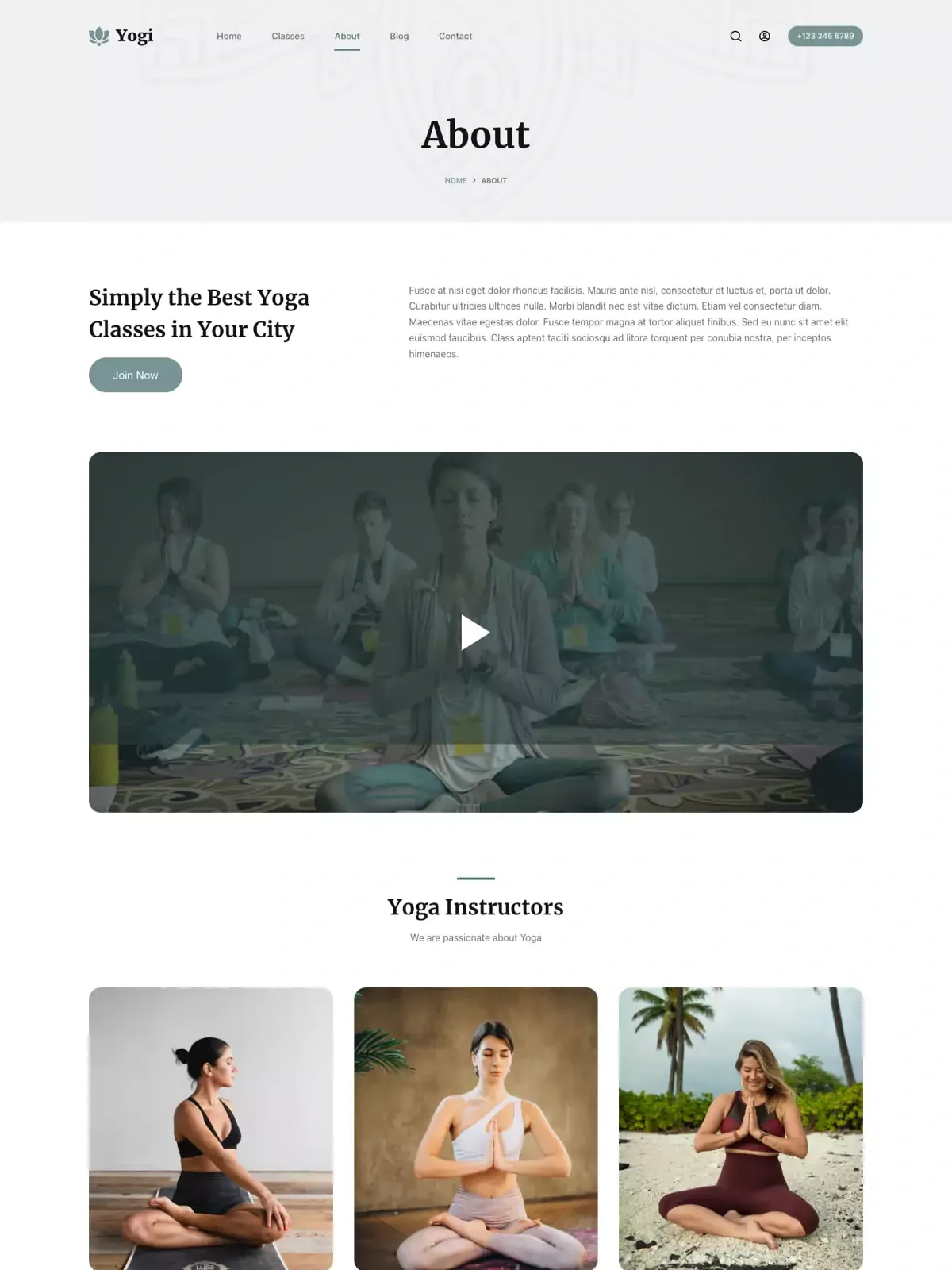 Yogi 关于页面