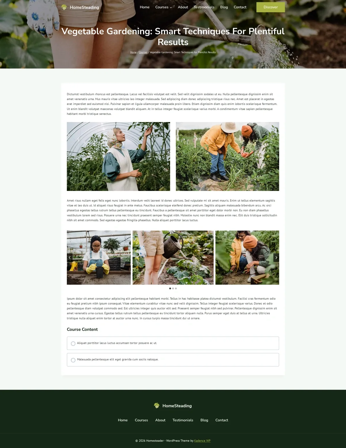 HomeSteading 蔬菜园艺:丰收的智慧技巧