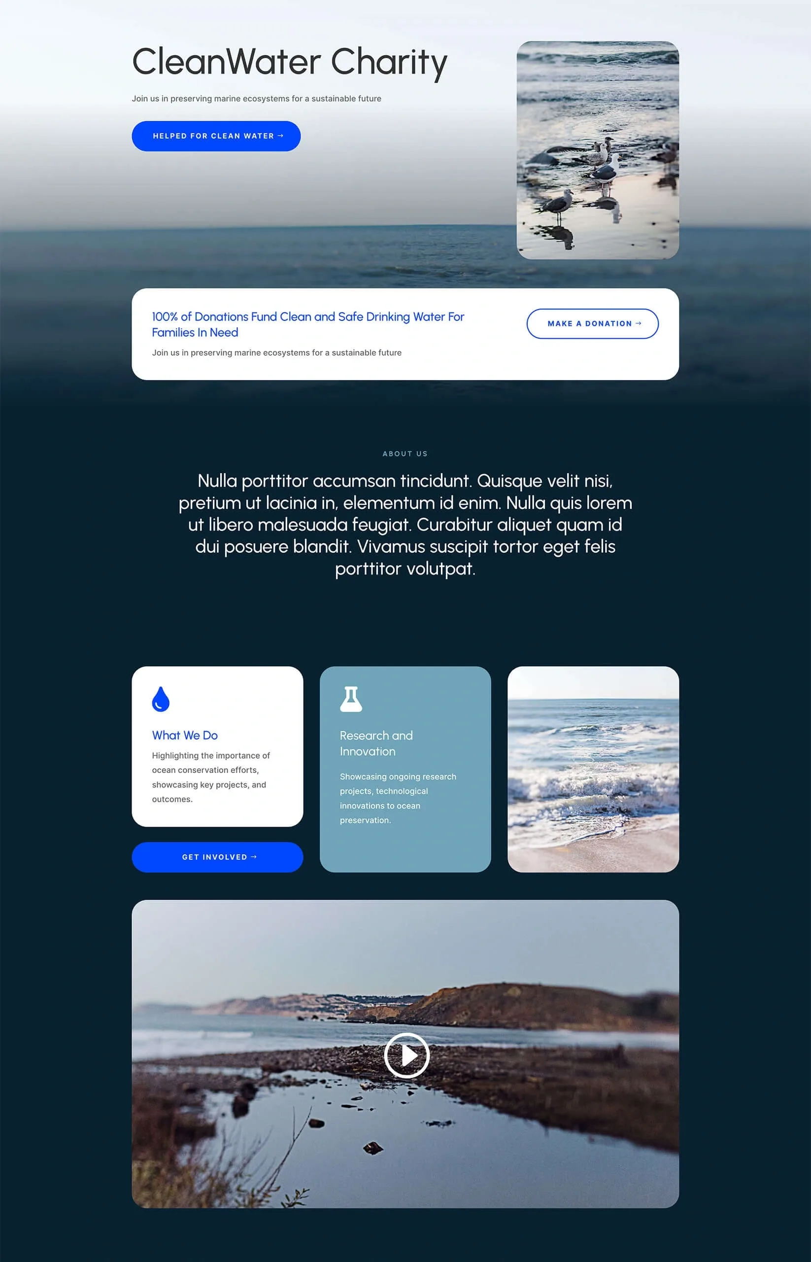 Water Non Profit 海洋保育WordPress模板