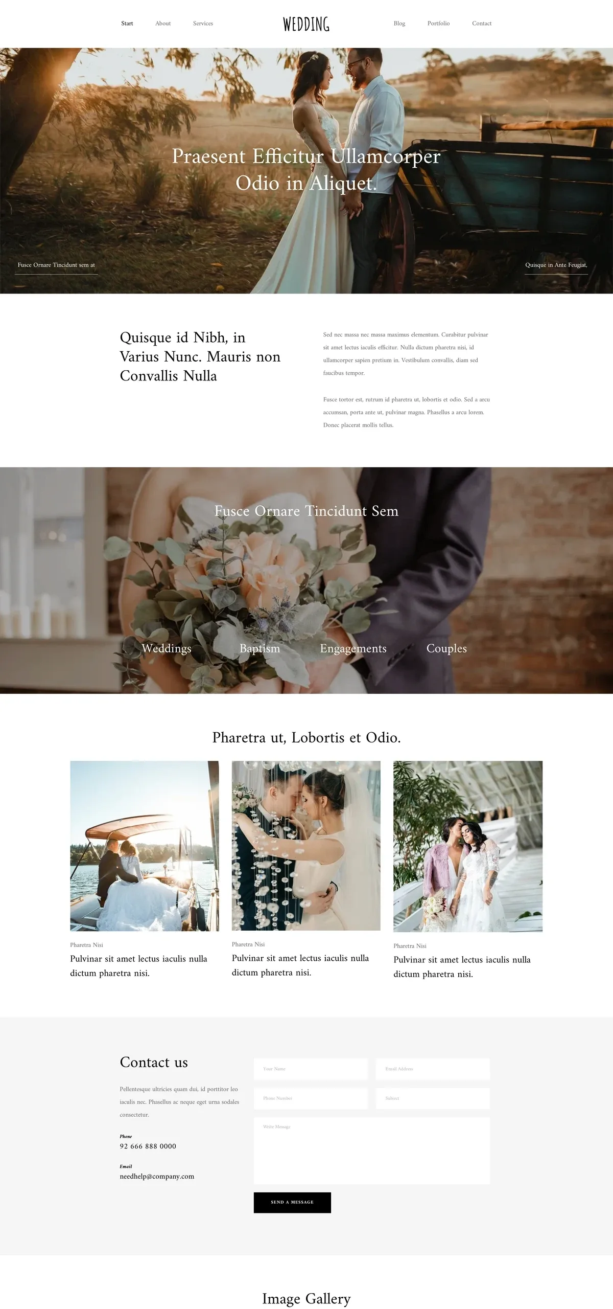 Wedding Photo 婚礼策划WordPress模板
