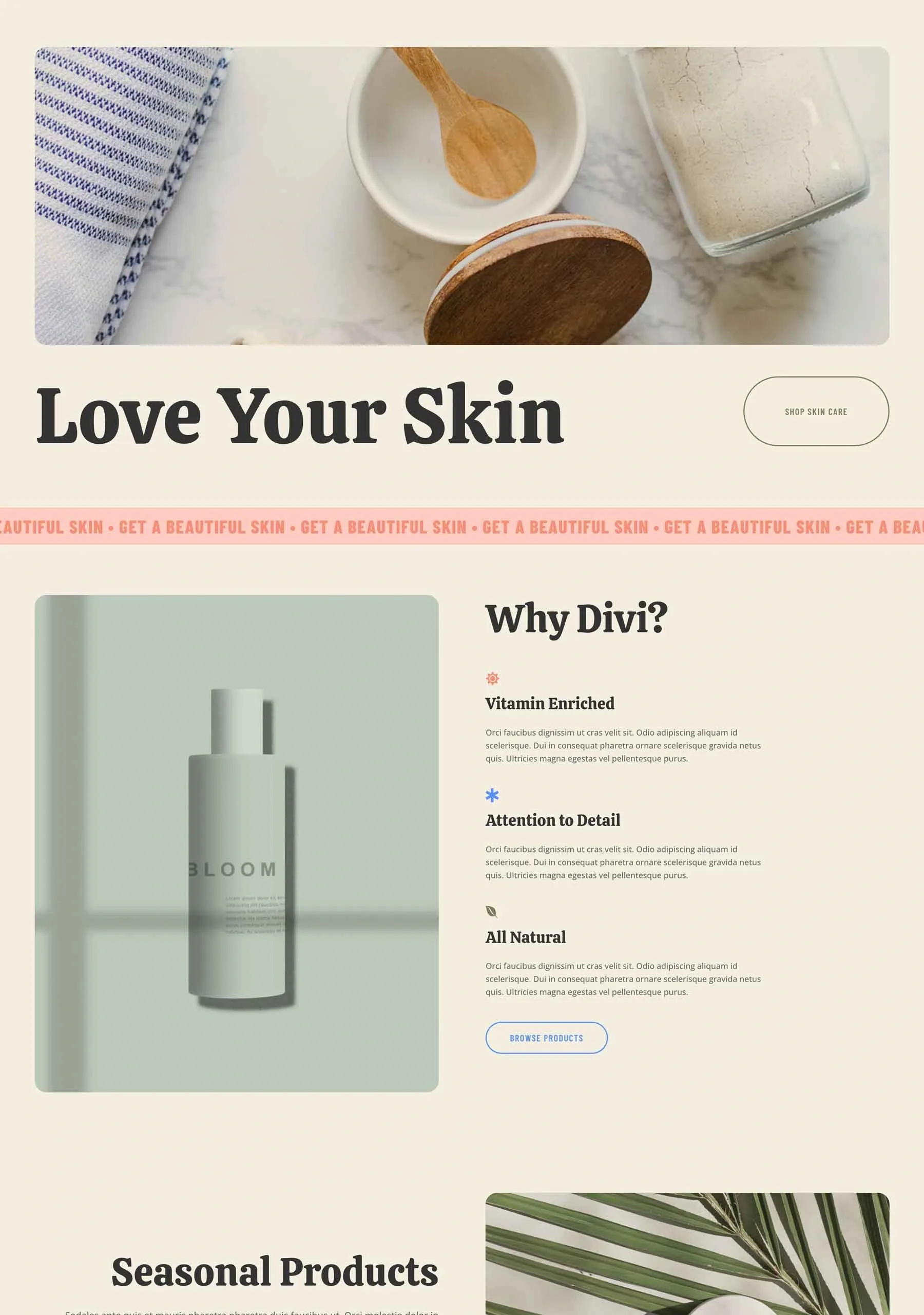 Skin Care 美容护理WordPress模板