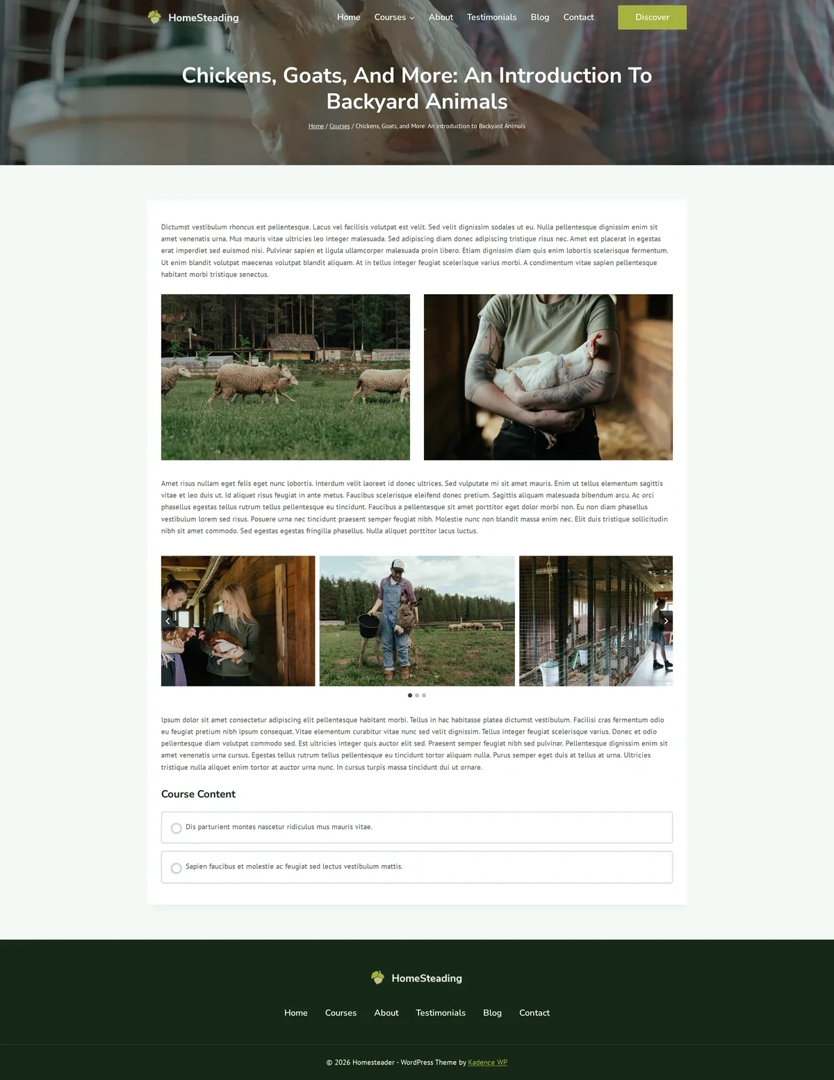 HomeSteading 鸡、山羊与更多:后院动物入门