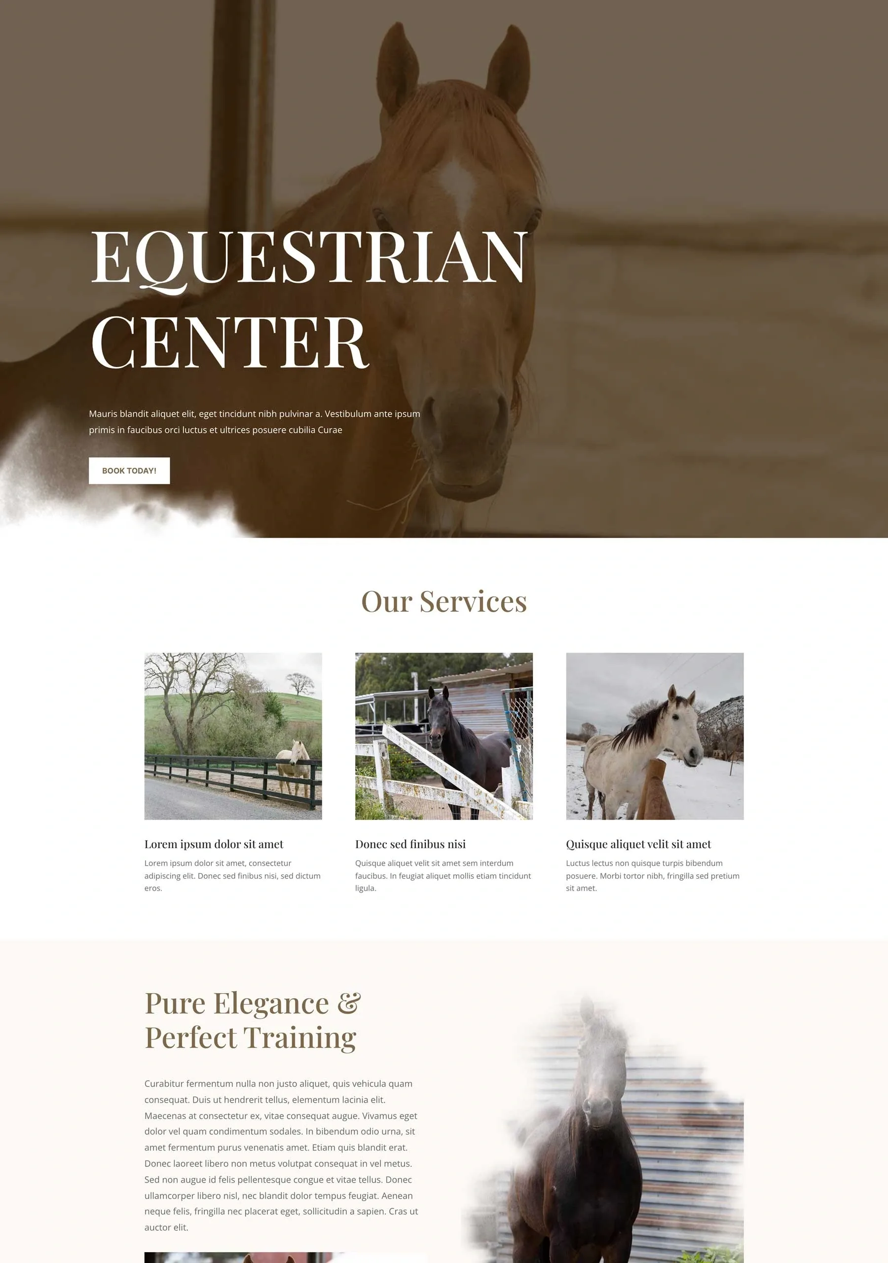 Horse Riding 体育健身WordPress模板