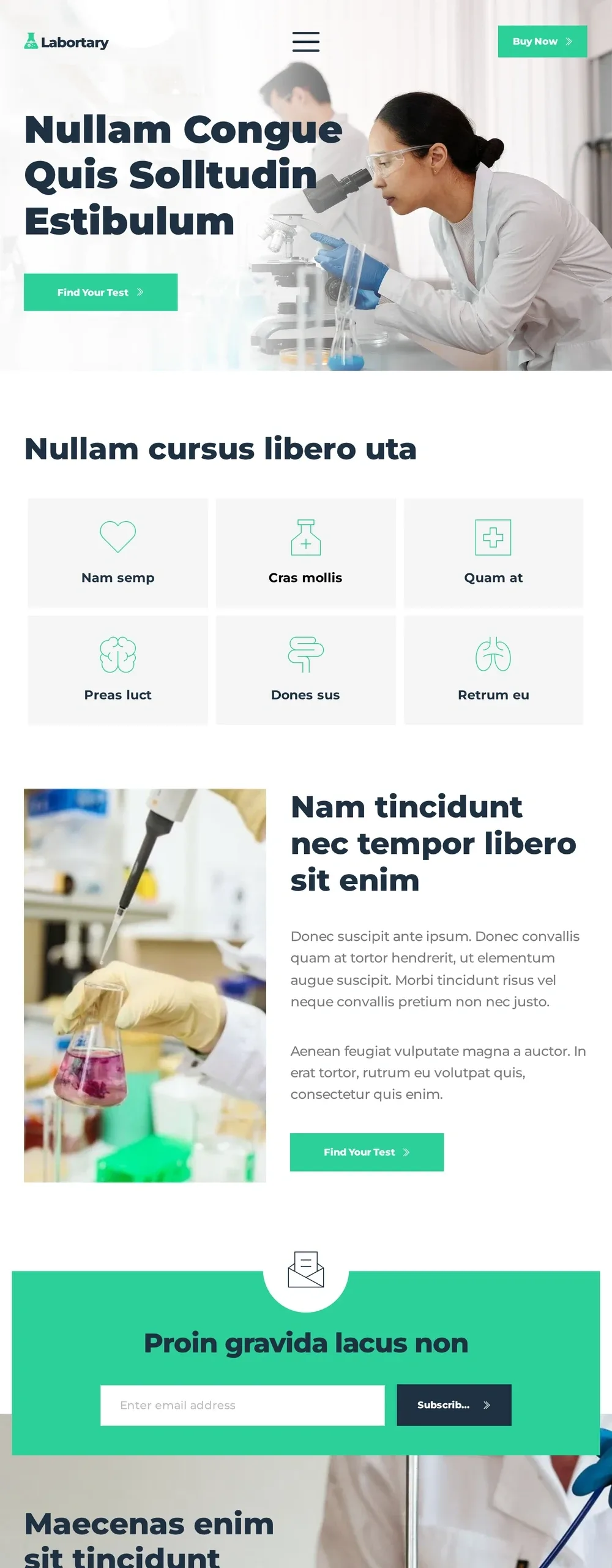 平板端预览