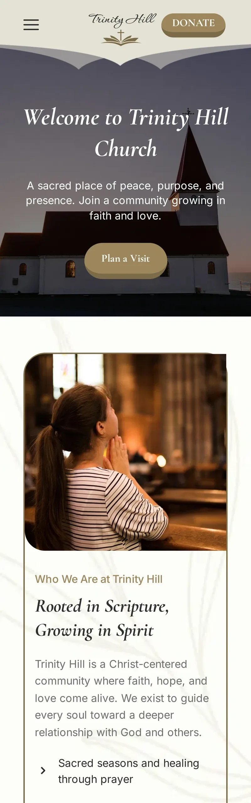 手机端预览