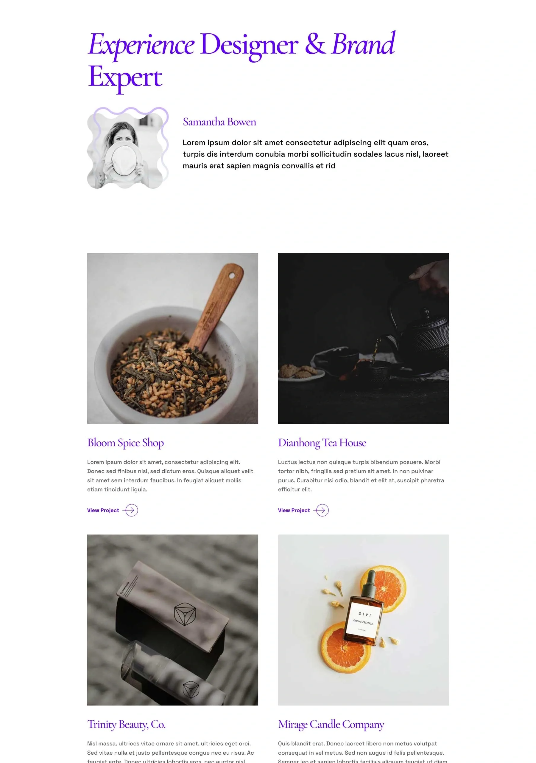 Creative Director 设计作品集WordPress模板