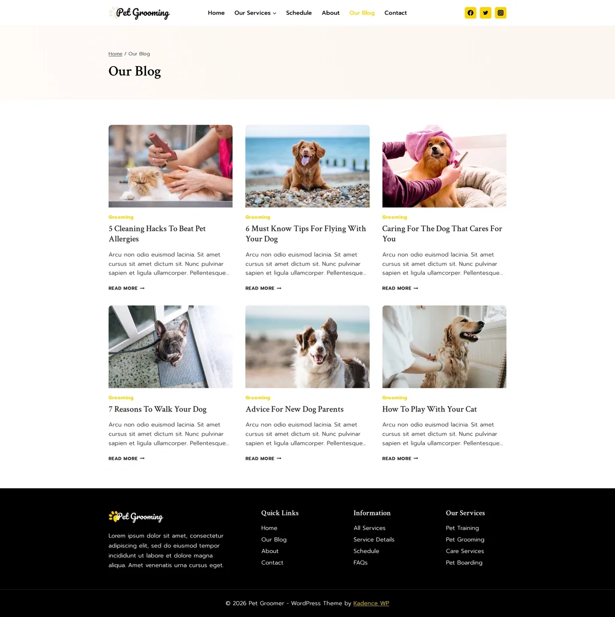 Pet Groomer 06 我们的部落格
