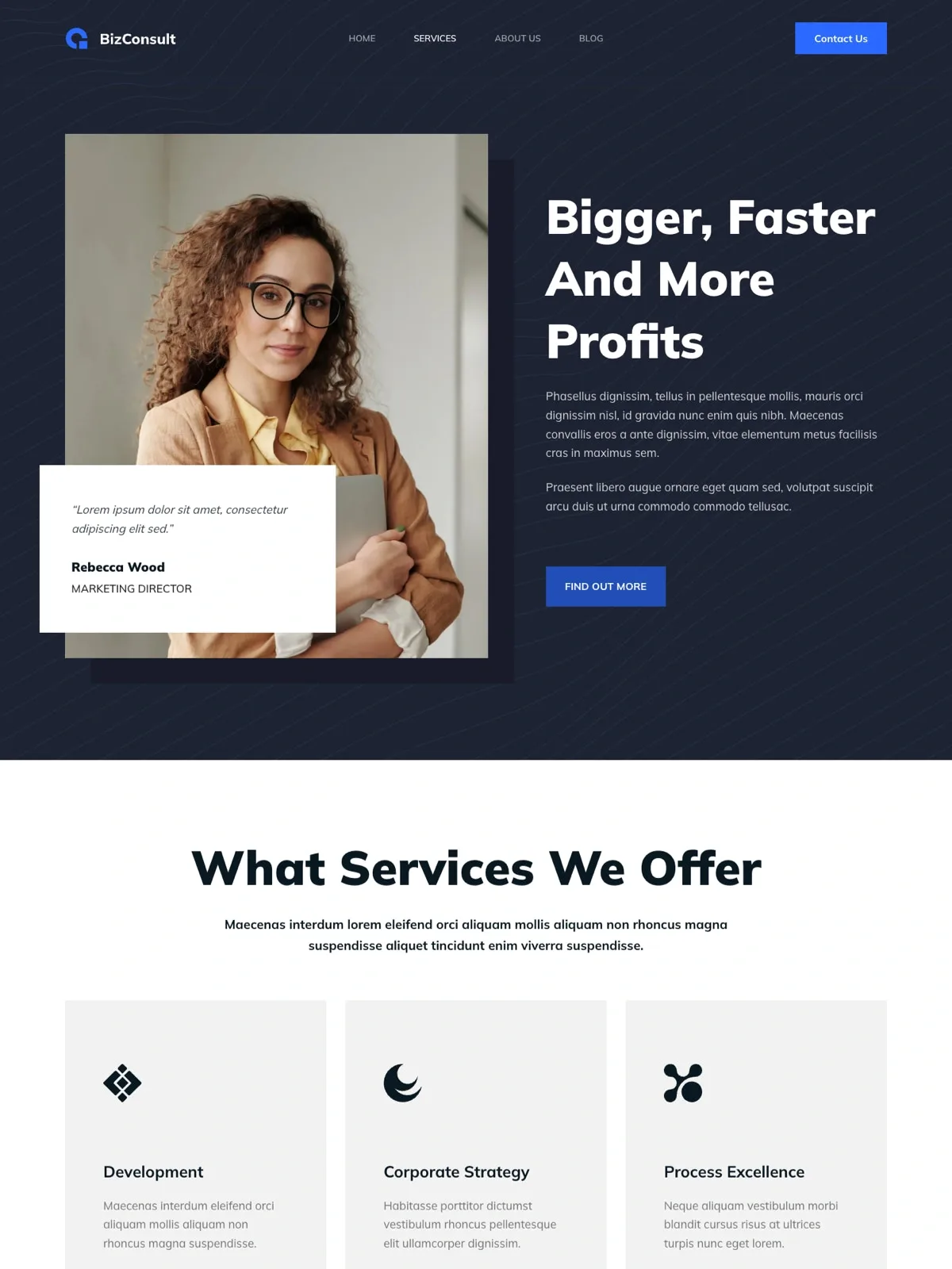 BizConsult 服务页面