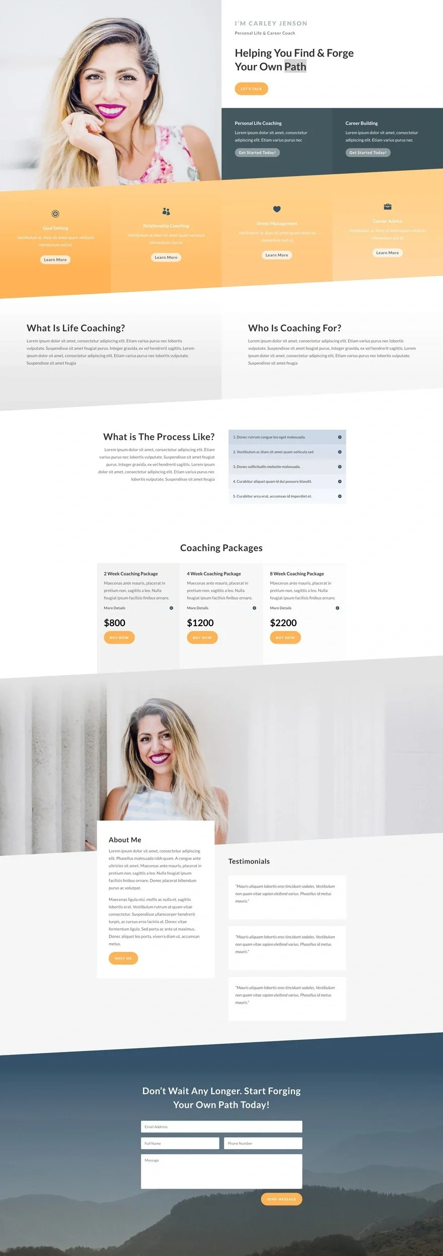 Life Coach 企业顾问WordPress模板