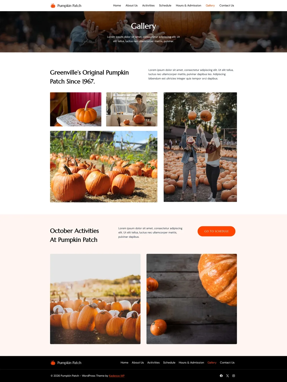 Pumpkin Patch 06 相片集