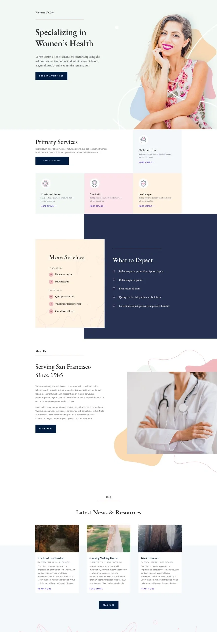 Womens Health Center 健康诊疗WordPress模板