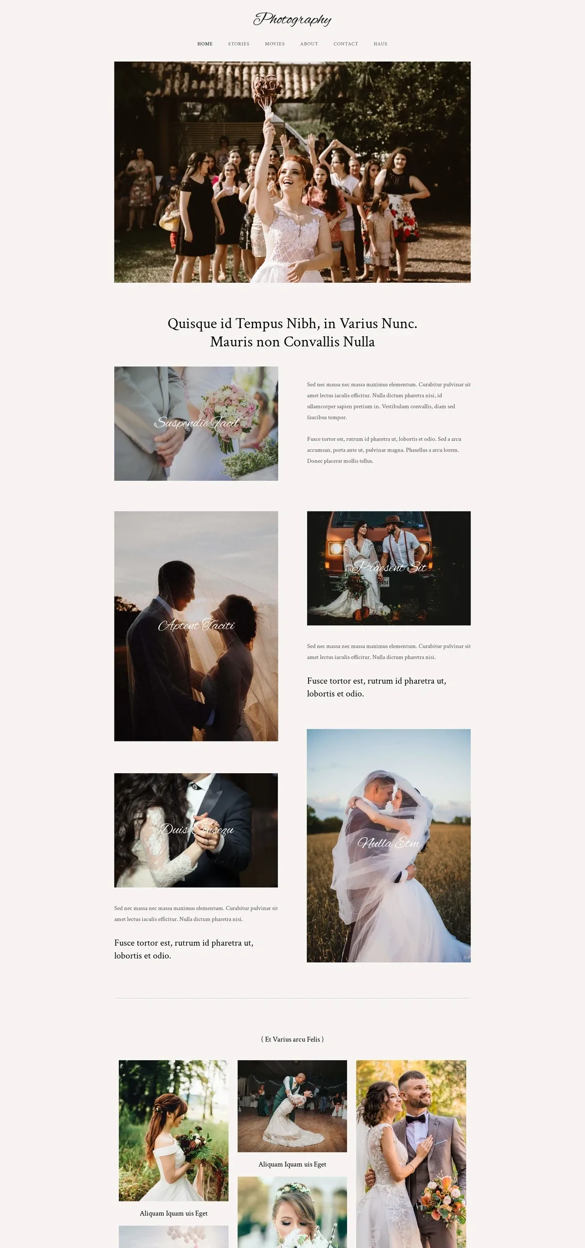 Wedding 婚礼策划WordPress模板