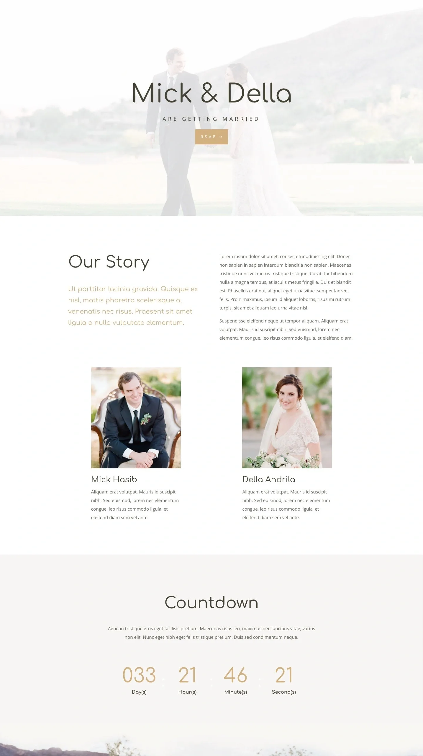 Wedding 婚礼策划WordPress模板