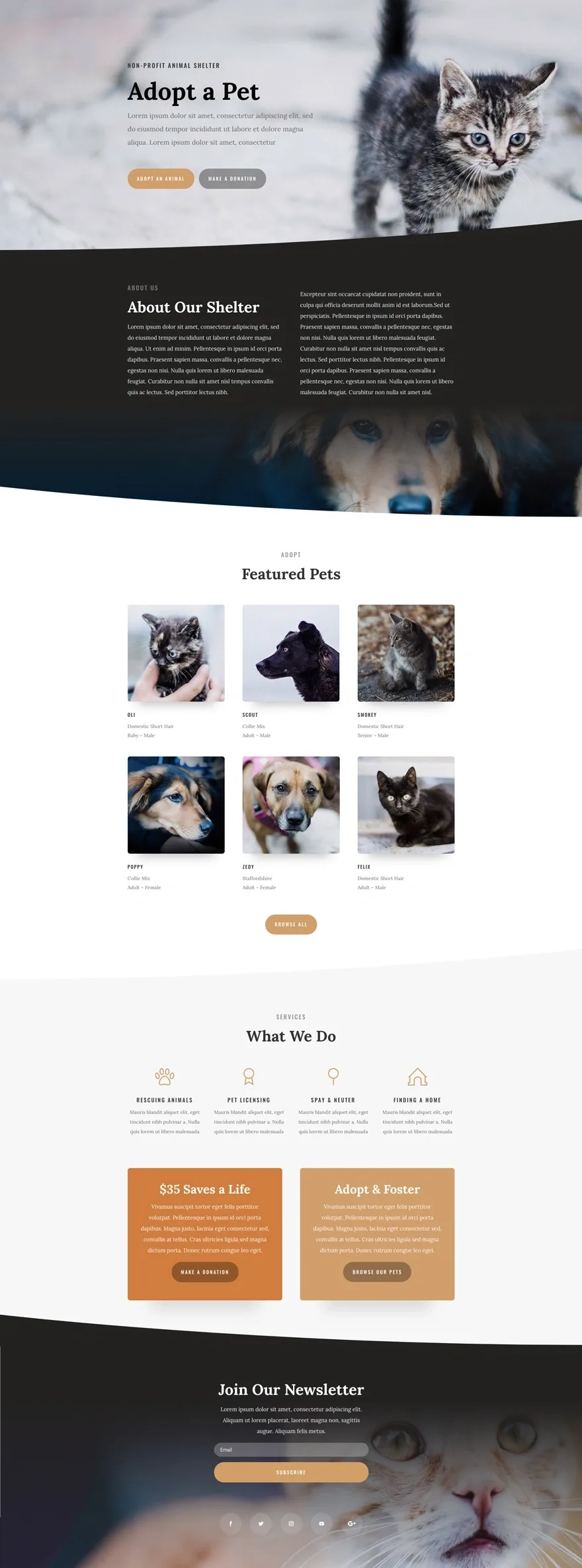 Animal Shelter 宠物动物WordPress模板