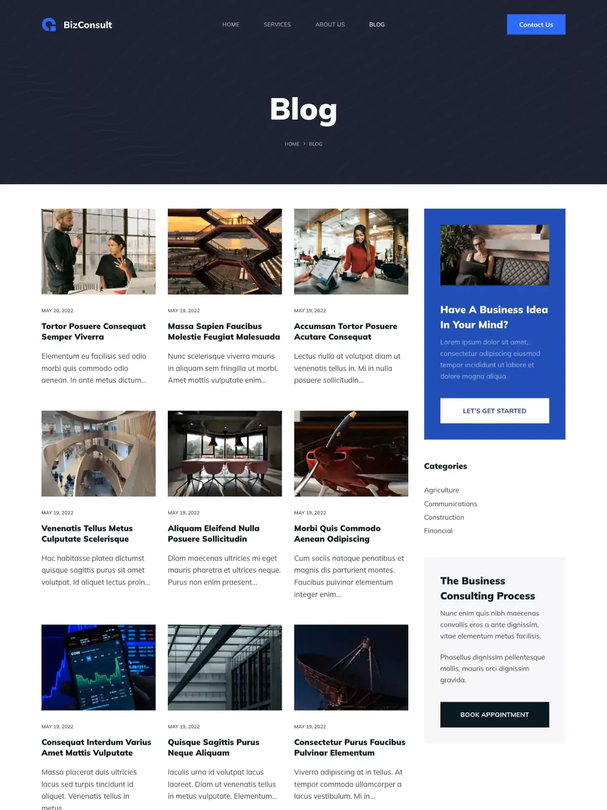 BizConsult 部落格页面
