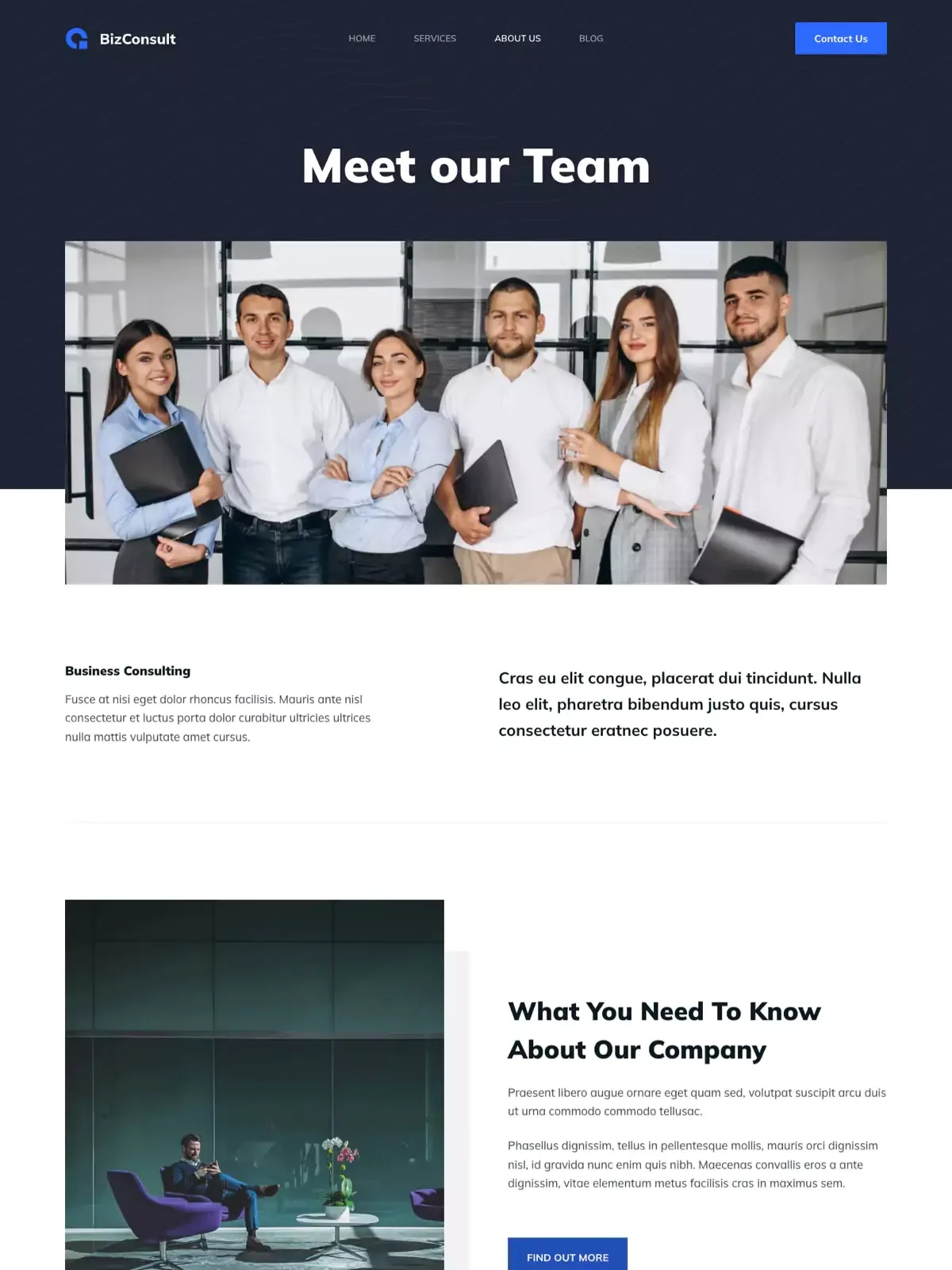 BizConsult 关于页面