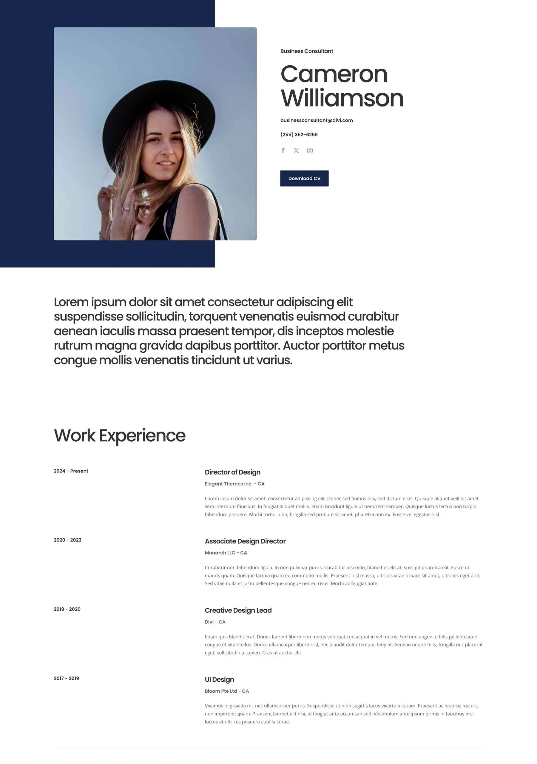 Business CV 个人简历作品展示WordPress模板