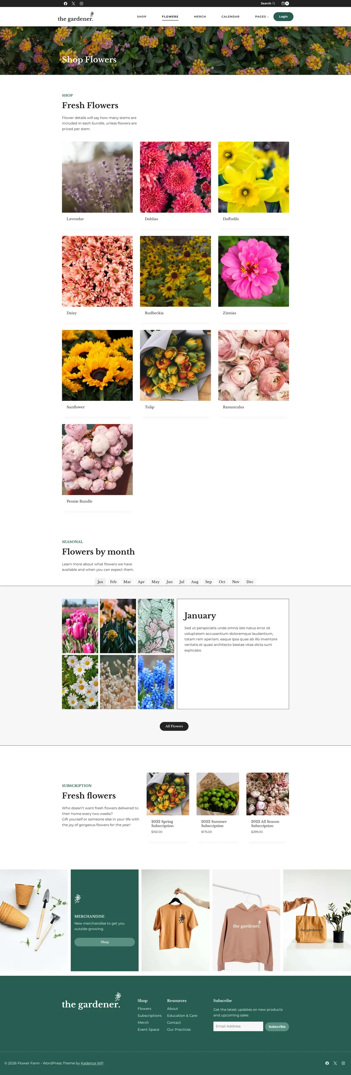 The Gardener 03 花卉